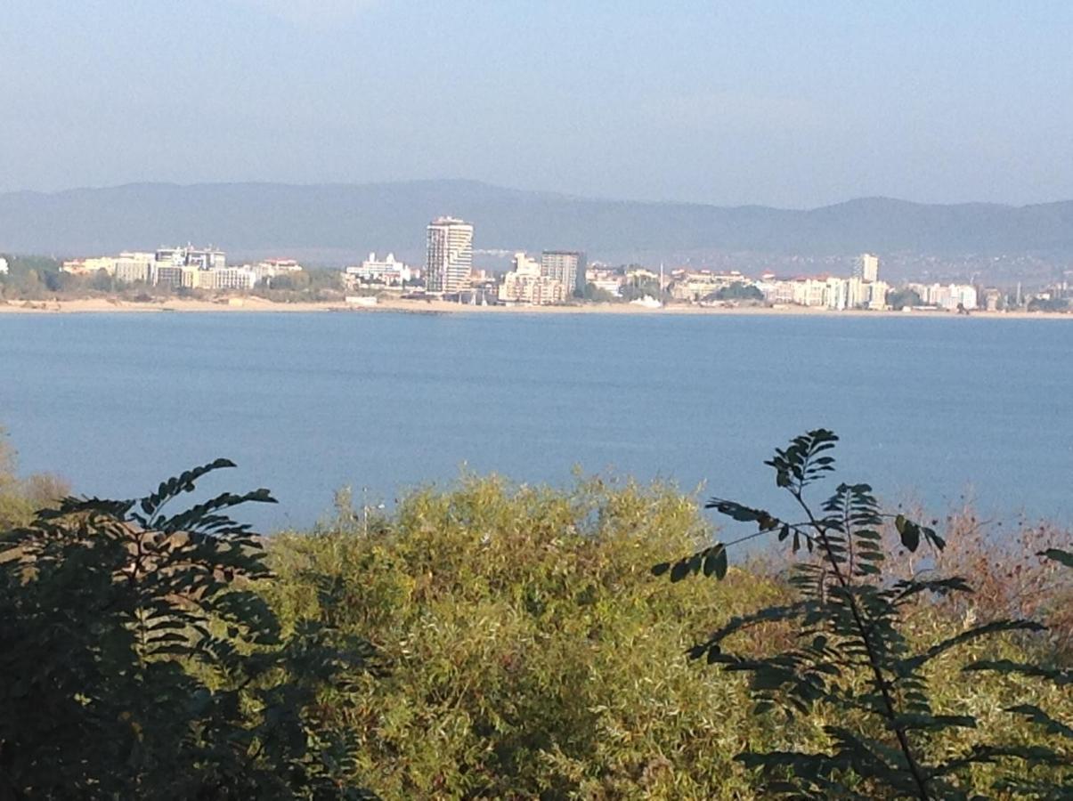 Flores Park Pantai Sunny Luaran gambar